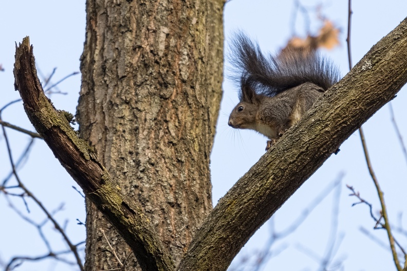 IMG_2474-Edit_F.jpg
